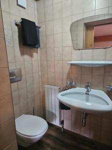 Koupelna v ubytování Haus Wiesenheim FW Ötztal