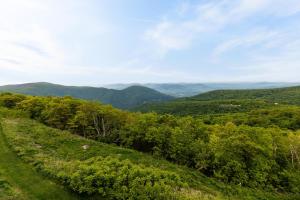 a view of the mountains from the top of a hill at Ledges 72 with Wintergreen Advantage in Wintergreen