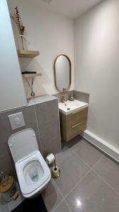 a bathroom with a toilet and a sink and a mirror at Apartment Orléans in Orléans