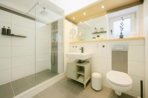 a bathroom with a toilet and a sink and a shower at Bayerischer Wald Hideaway, nähe Passau, Garten, Kamin, Galerie, in Waldkirchen +16 photos