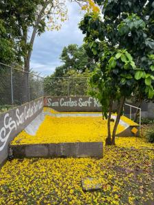 Φωτογραφία από το άλμπουμ του San Carlos Surf Resort & Eco Lodge σε San Carlos +127 φωτογραφίες