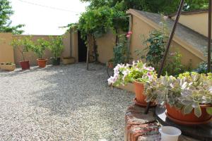 un giardino con piante in vaso sul lato di un edificio di Bed & Breakfast L'Infernot a Rosignano Monferrato