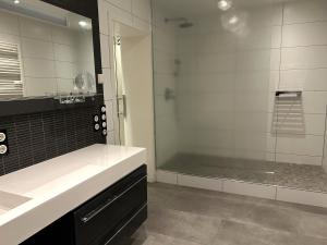 a bathroom with a shower and a sink and a mirror at Iderhoff Lounge 01 in Norderney