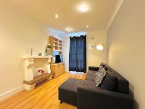 a living room with a couch and a fireplace at One Bedroom Site Apartment in Dublin