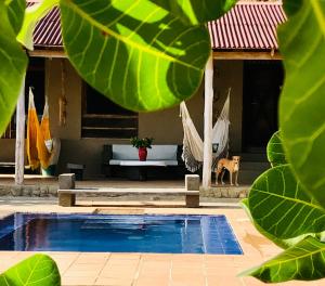 a swimming pool in front of a house with a hammock at La Candelaria in Dibulla