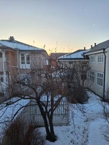 a tree in the snow next to some houses at Huoneisto Pikku Neristan in Kokkola