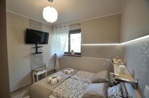 une petite chambre avec un lit et une télévision dans l'établissement Apartament Spokojny, à Kościelisko
