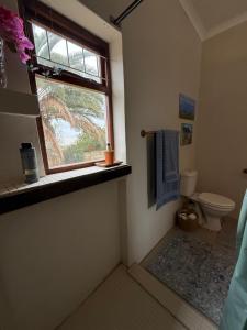 ein Bad mit einem Fenster, einem WC und einem Waschbecken in der Unterkunft Rosemarys Cottage in Koringberg + 38 Fotos
