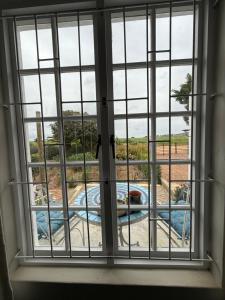 ein Fenster mit Poolblick in der Unterkunft Rosemarys Cottage in Koringberg
