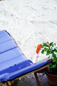 a blue beach chair and a flower on the beach at Corten Villa - A Vacation within Your Vacation in Saint Georgeʼs