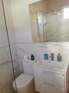 een badkamer met een toilet, een wastafel en een spiegel bij Casa El Alpendre de Temisas - Recién renovada in Temisas +23 foto's