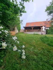 ein Haus mit einem Hof mit weißen Blumen davor in der Unterkunft NOUVEAU Gite Le Geai Bleu a 5min de La Petite Pierre Terrasse couverte et jardin in Erckartswiller