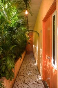 a hallway with plants on the side of a house at Macarena Hostel in Flores