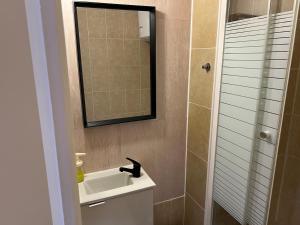 a bathroom with a sink and a mirror at Studio Zen - Paris à 5mn in Alfortville