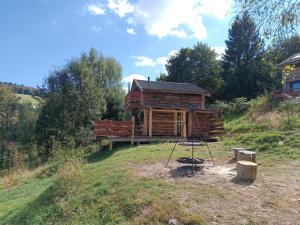 a log cabin with a swing in front of it at Enklawa w Porębie in Długopole-Zdrój