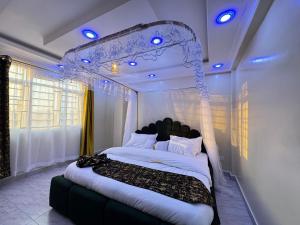 KisiiGreenstar cozy的相册照片