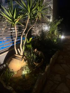 Gallery image of Angela Studios in Sivota