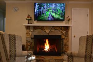 a living room with a fireplace with a television above it at Cheerful 3 bedroom home with a sauna and summer pool in Fredericksburg
