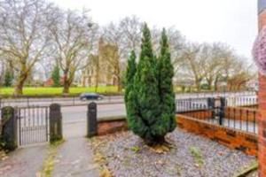 a small pine tree sitting next to a fence at Four BR House By Eason Stays Short Lets & Serviced Accommodation Worsley With Free Parking in Worsley