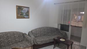 TV a/nebo společenská místnost v ubytování Gjirokastra Center Apartment