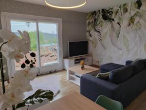a living room with a blue couch and a tv at Bel Horizon in Saint-Jean-Froidmentel
