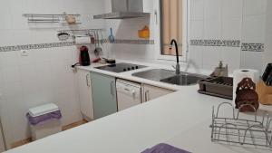 a small kitchen with a sink and a counter at Apartamento San Jose in San José