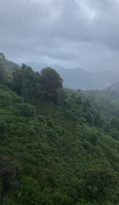 Gallery image of Family House with Sea and Mountain View Kobuleti in Kvirike