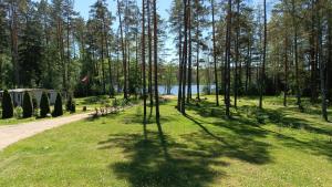 Příroda nedaleko prázdninového domu