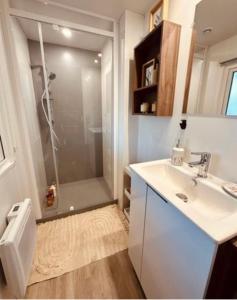 a bathroom with a shower and a sink and a toilet at Magnifique Mobil home avec vue in Lège-Cap-Ferret