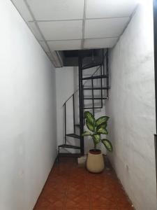 Photo de la galerie de l'établissement Cabañas Sierra Maestra, à Bialet Massé