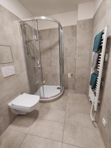 a bathroom with a shower and a toilet at Star Apartments Brno #3D315 by Starbnb EU in Brno
