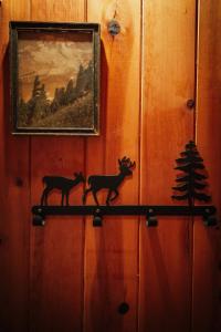 Fotografie z fotogalerie ubytování Emmons Suite at Ashford Lodge: Hot Tub, Projector! v destinaci Ashford