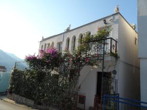 Hoone, kus apartement asub