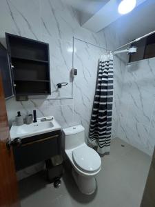 Un baño con un inodoro blanco y un lavabo. en Departamento de Estreno Amplio y Confortable, en Ayacucho