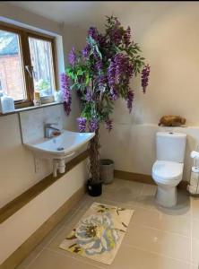 a bathroom with a toilet and a sink and purple flowers at Tranquil detached barns in Sherborne St John in Sherborne Saint John