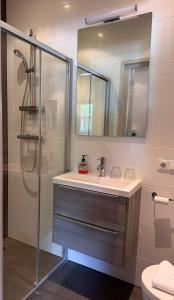 a bathroom with a sink and a shower at Aparthotel Landgoed Culitsrode in Hooge Mierde +44 photos