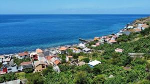 a group of houses on a hill next to the ocean at Buzio Flat in Jardim do Mar