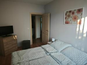 a bedroom with a bed and a television in it at Otthonos lakás in Kerepes +38 photos