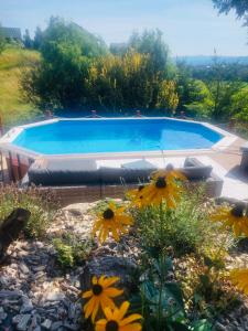 a swimming pool in a yard with yellow flowers at Villa Marlena in Spytkowice