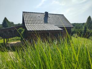 ein Haus in einem Feld mit hohem grünen Gras in der Unterkunft Przystań Natury - Drewniany Dom Wakacyjny in Domysłów