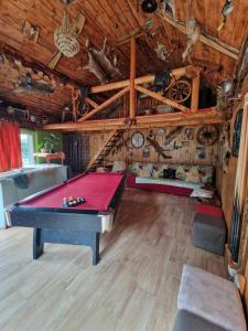 una habitación con una mesa de ping pong. en Cabana Micutu, en Sebeş