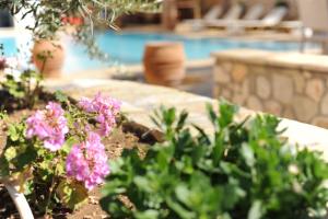 Bazén v ubytovaní Villa Vita Holidays alebo v jeho blízkosti