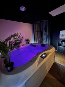 a hot tub in a room with a potted plant at Cocon Jacuzzi et cinéma 4K B in Bordeaux