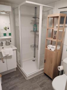 a bathroom with a shower and a toilet at Charming studio close to Léguevin Colomiers ring road in Fontenilles