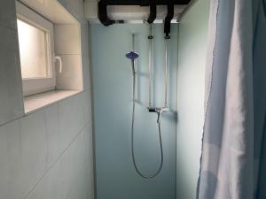 a shower in a bathroom next to a window at Modernes Skihaus auf der Wolzenalp 33Betten in Nesslau +23 photos
