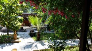 Kebun di luar Adrasan Şekerbahçe Otel