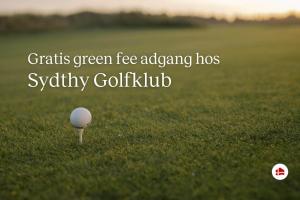 una pallina da golf è ferma nell'erba di LF509-Vestervig-Ingeborgs-Alle-1 a Vestervig