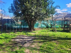 Κήπος έξω από το Quinta El Tadan +33 φωτογραφίες