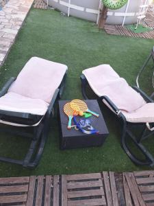 two chairs and a toy turtle on a lawn at House Heart in Amora