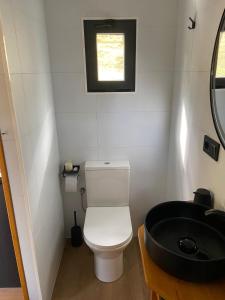a small bathroom with a toilet and a sink at El Roble Glamping - Cabaña Container - Pet Friendly in Lagunilla +15 photos